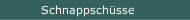 Schnappschüsse