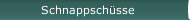 Schnappschüsse